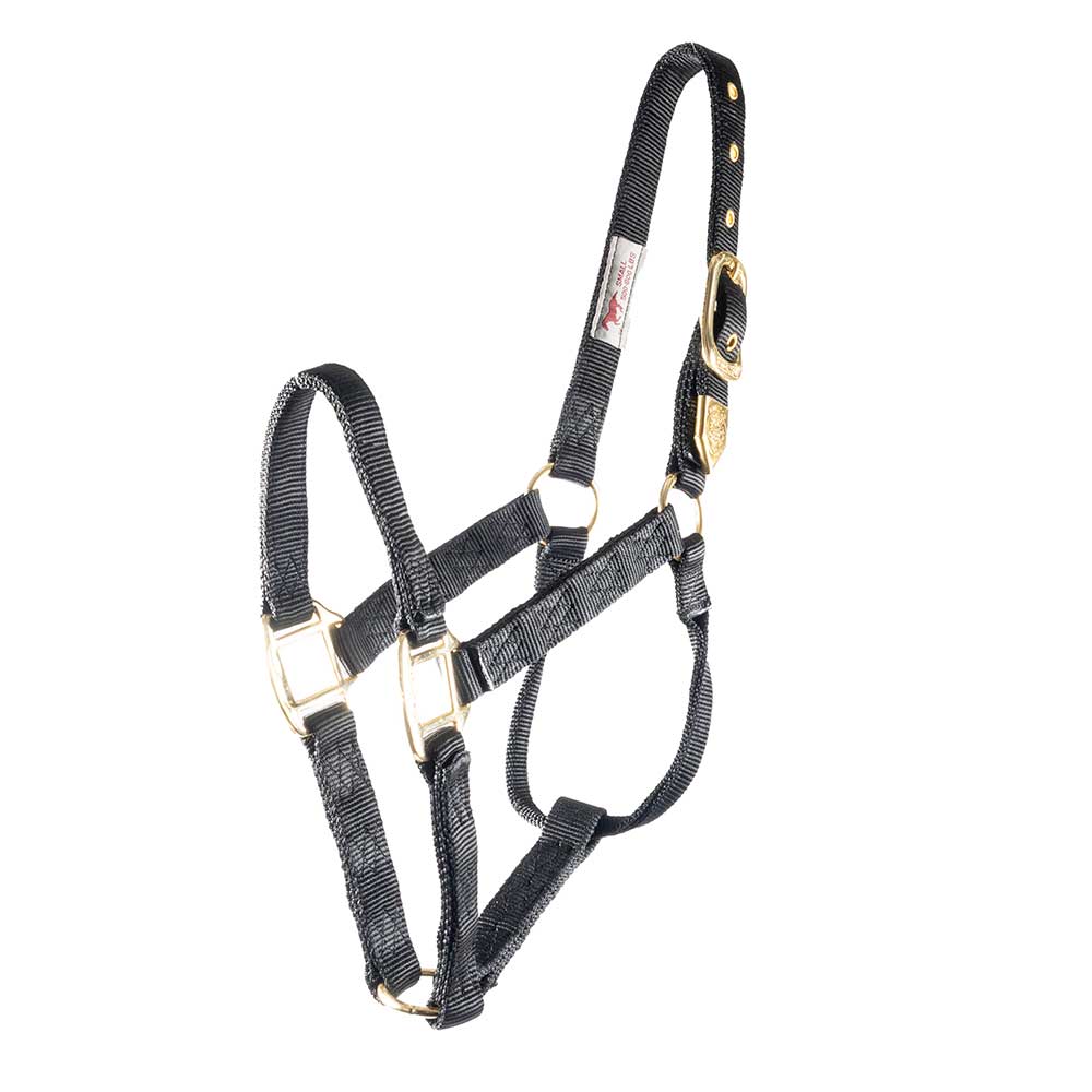 Hamilton 1" Deluxe Nylon Halter - Arabian Size Tack - Halters & Leads - Halters Hamilton Black  