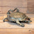 Vintage Bronze Turtle Spitoon Collectibles MISC   