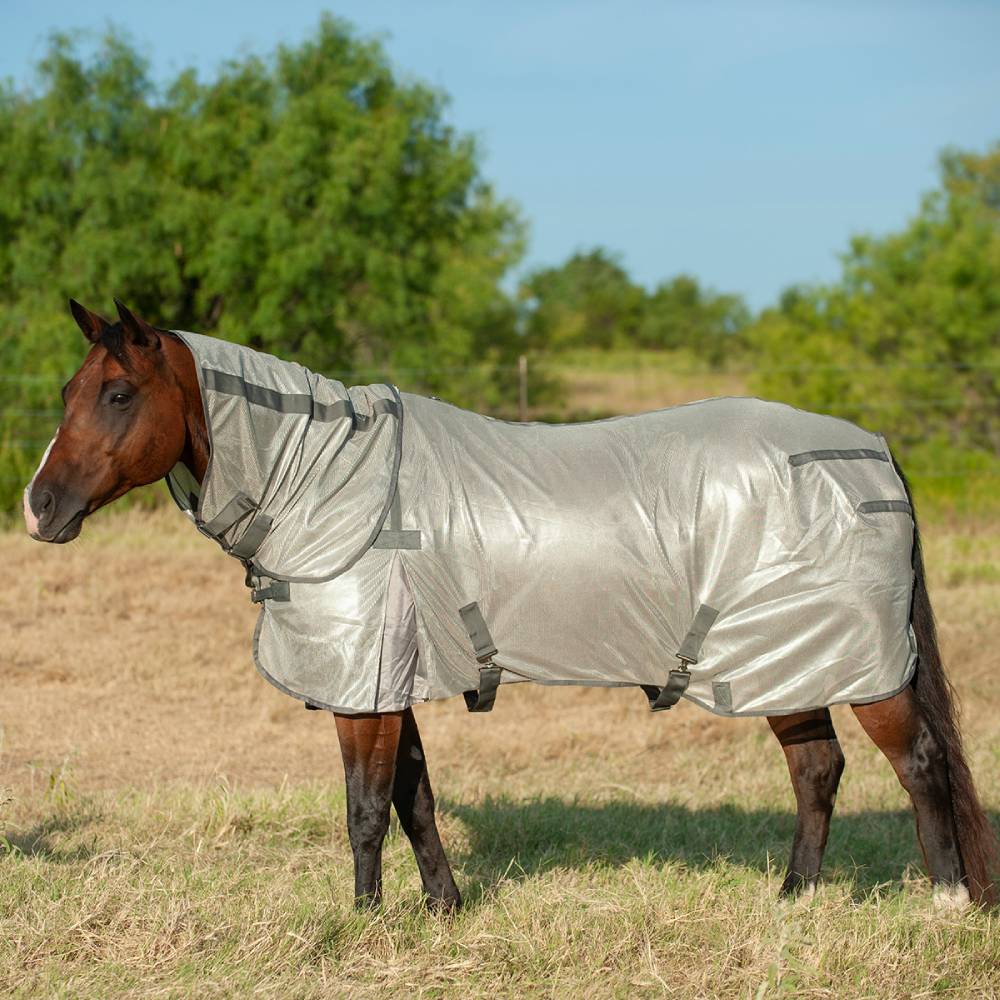 Cashel Econo Fly Sheet With Neck Guard FARM & RANCH - Animal Care - Equine - Fly & Insect Control - Fly Masks & Sheets Cashel 74-76  