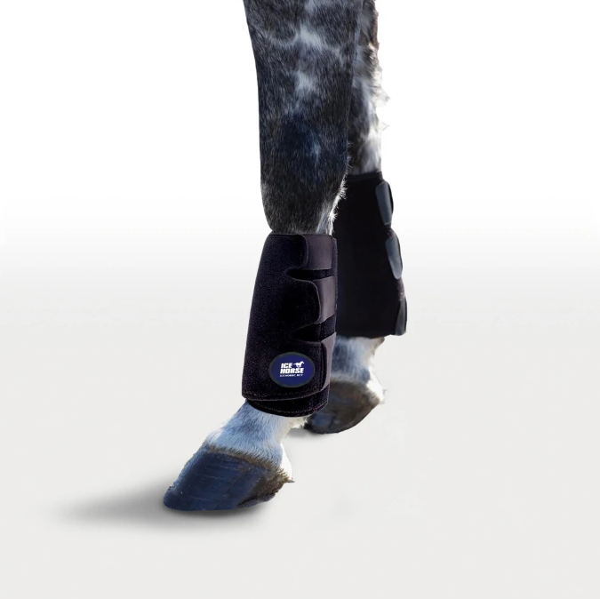 ICEHORSE Tendon Wraps Tack - Leg Protection - Rehab & Travel Icehorse   