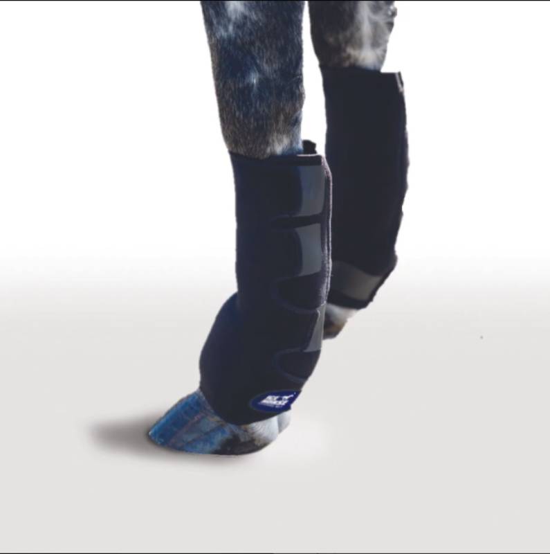 ICEHORSE Suspensory Wrap Tack - Leg Protection - Rehab & Travel Icehorse   