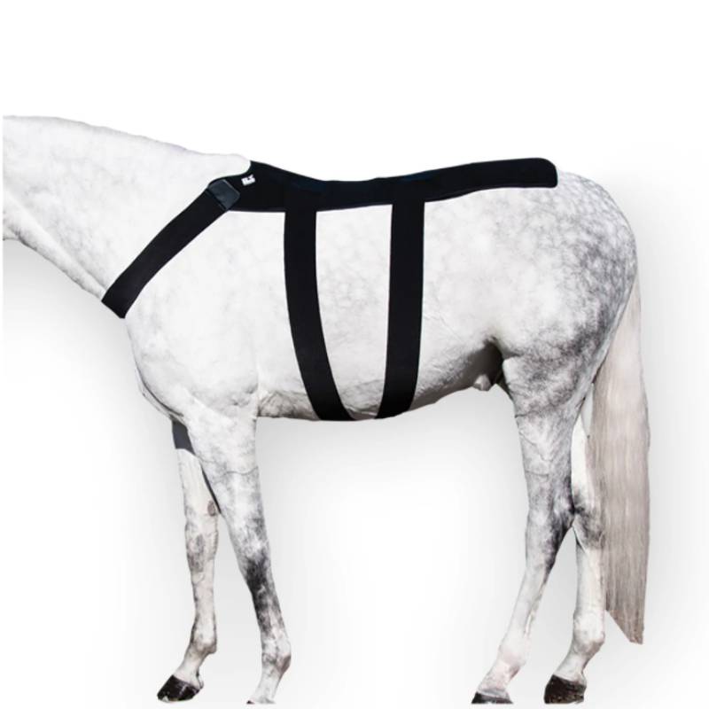 ICEHORSE Back Blanket with 10 Cold Inserts Tack - Leg Protection - Rehab & Travel Icehorse   
