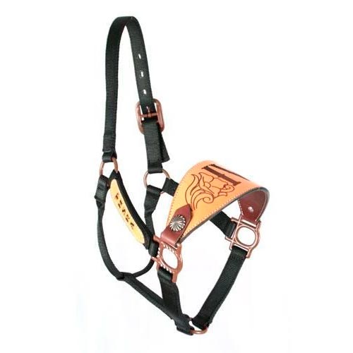 Trophy Bronc Nose Nylon Halter #24 CUSTOMS & AWARDS - HALTERS Teskey's   