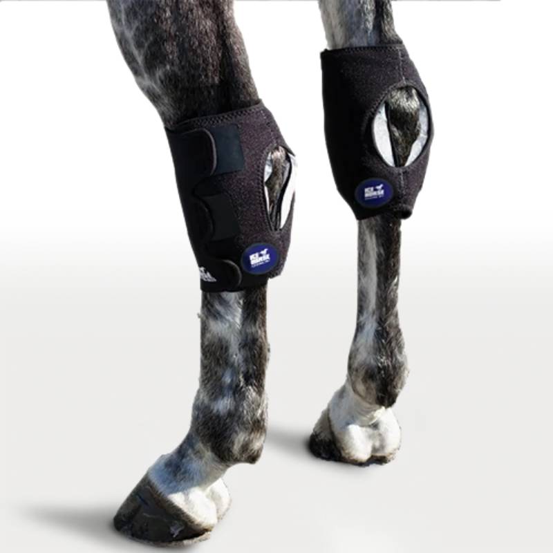 ICEHORSE Hock Wraps Tack - Leg Protection - Rehab & Travel ICE   