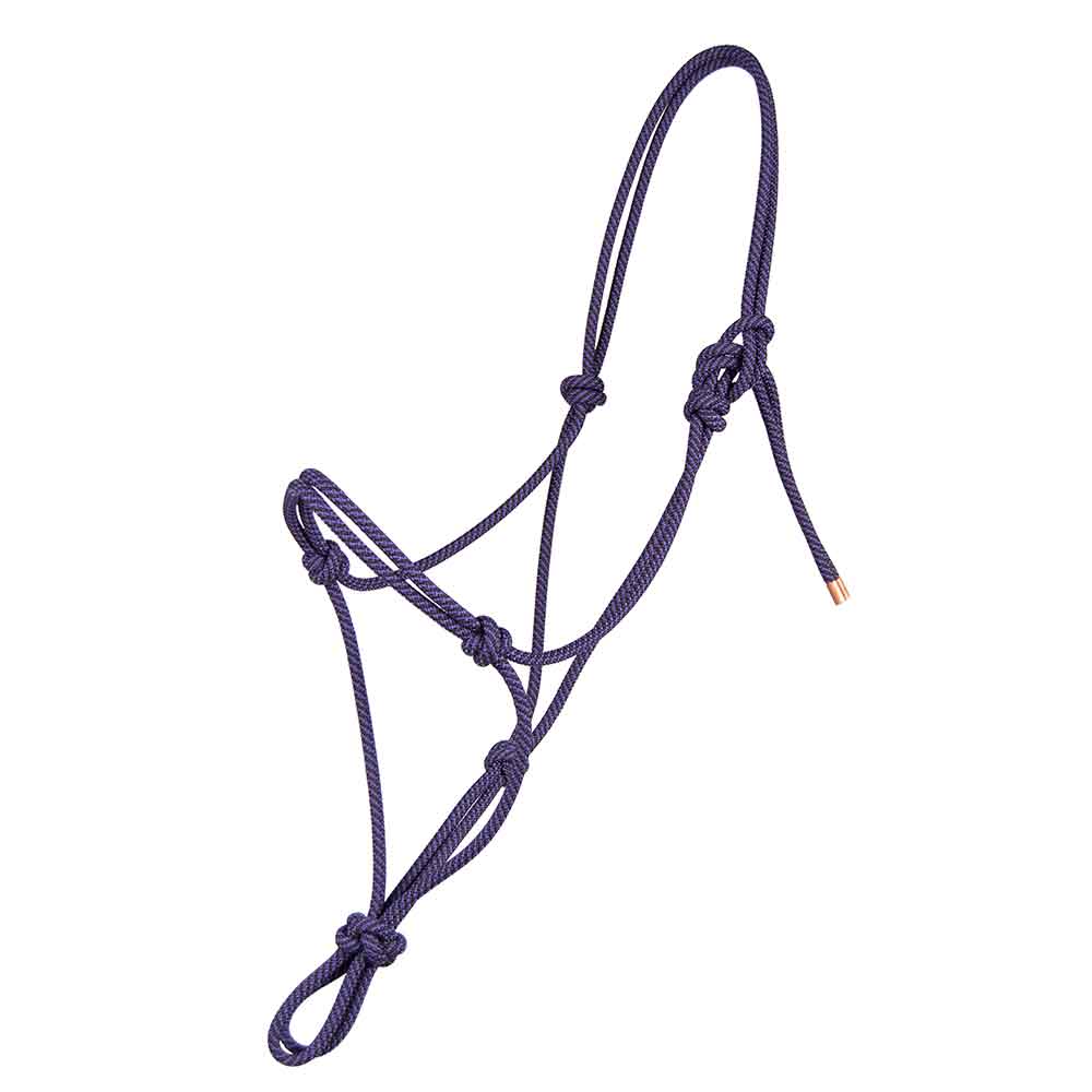 Steele Halter Tack - Halters & Leads - Halters Teskey's PURPLE AND BLACK  