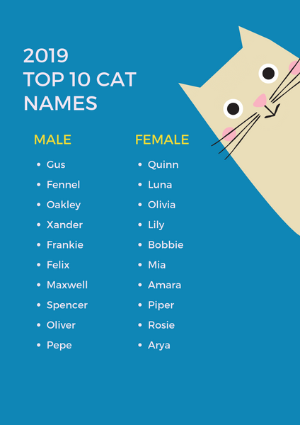 Top 10 Cat Names for 2019
