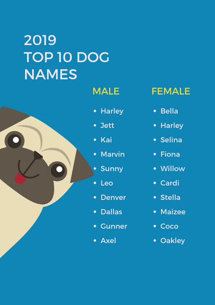 Top 10 Dog Names for 2019