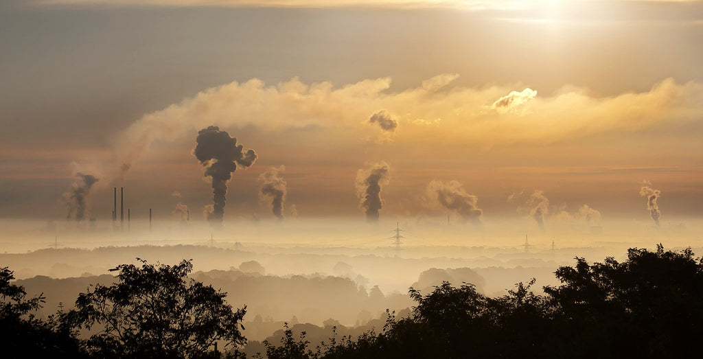air pollution damages the skin barrier