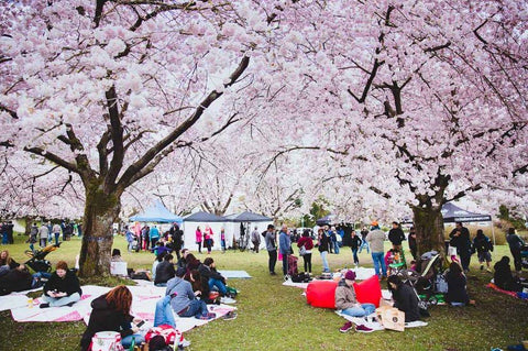 Hanami Party