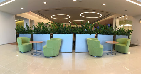 Indoor Lobby Planter