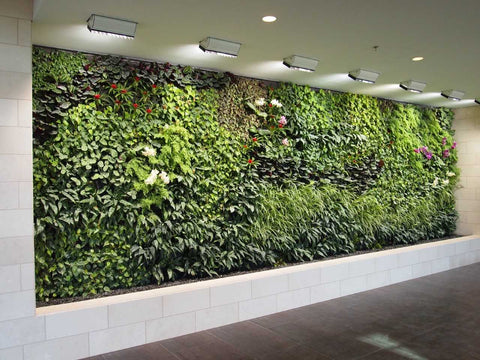 Modern Eco-design BioWall