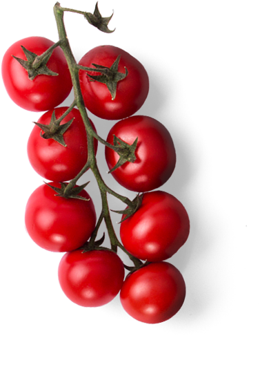 tomato