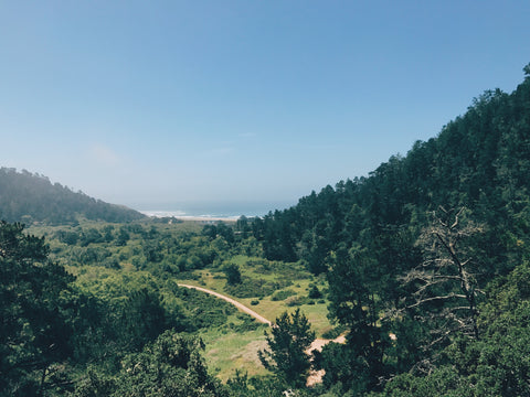 Trail views of Waddell Valley