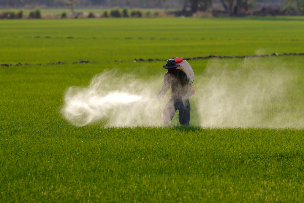 Spray Fields