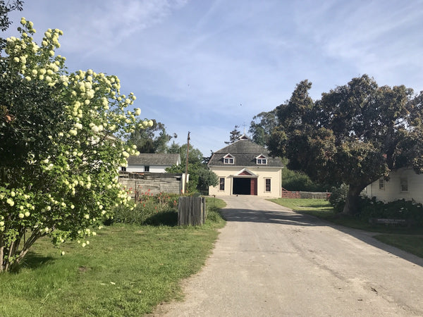 Wilder Ranch State Park