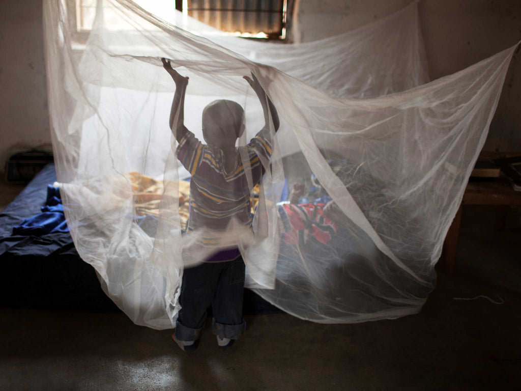 mosquito nets to buy