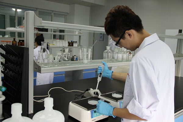 Young Scientist at Work in the Lab
