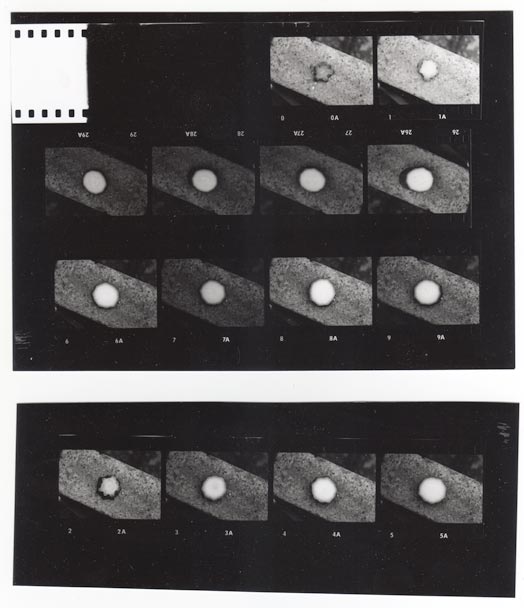 Courgette - 3D>2D>3D - slides contact sheets 1/2