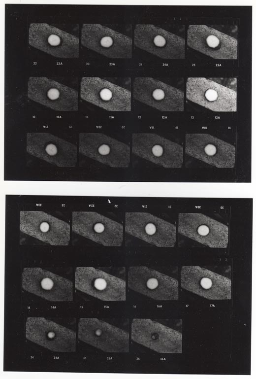 Courgette - 3D>2D>3D - slides contact sheets 2/2