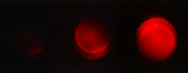 LEROUGE Pinhole cameras rare blood moon