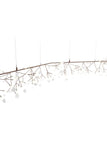 Heracleum Endless - Galleria del Vento - 1