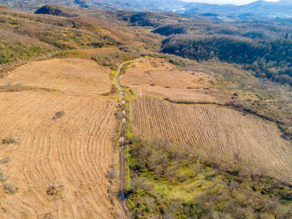 Renegade Estate plantation