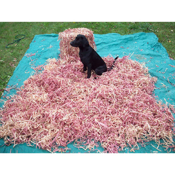 are wood shavings safe for dogs