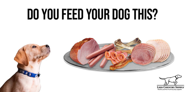 can you feed sliced deli turkey to a dog