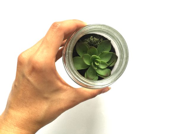 How To Green Your Space: DIY Terrarium