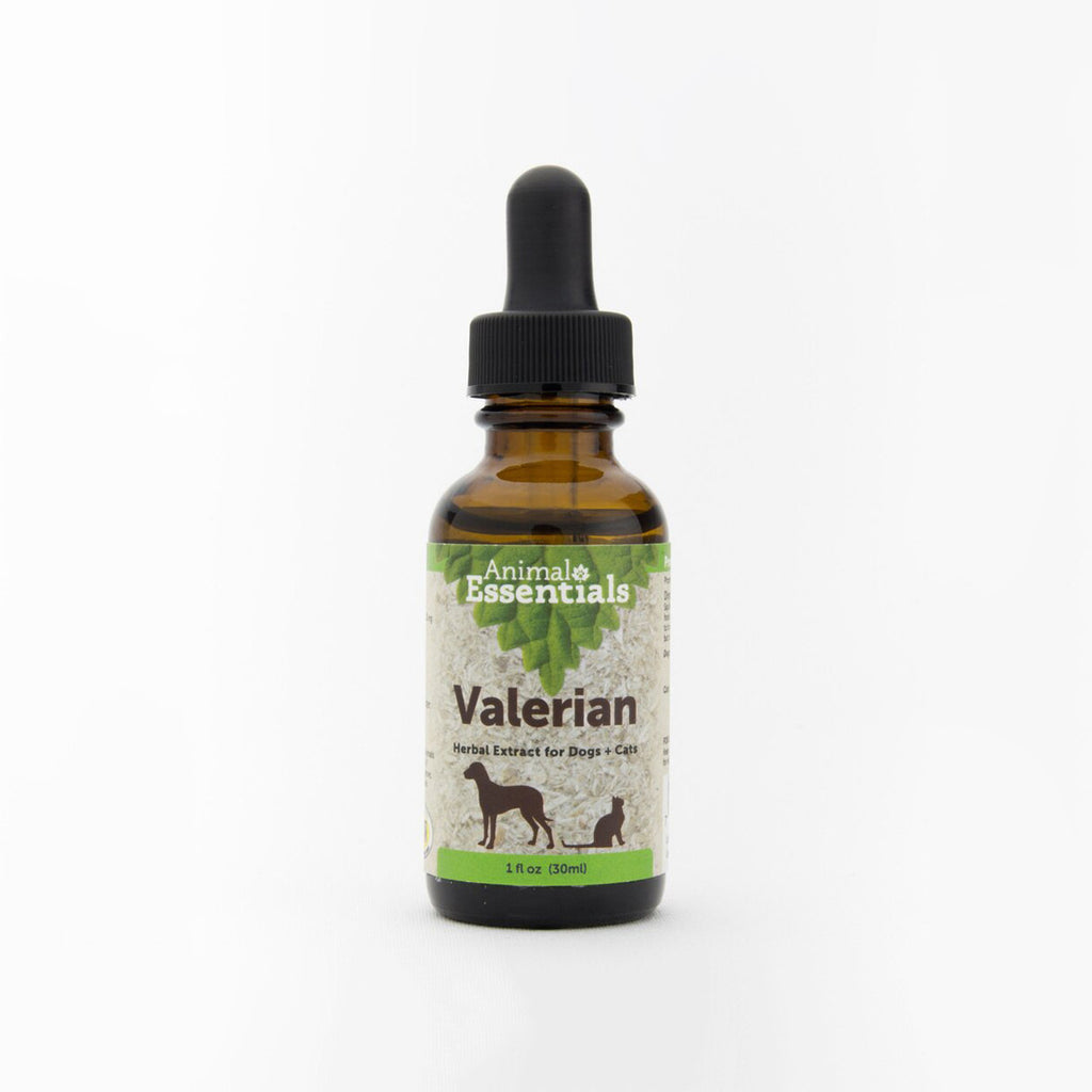 is 500 mg of valerian root safe for dogs