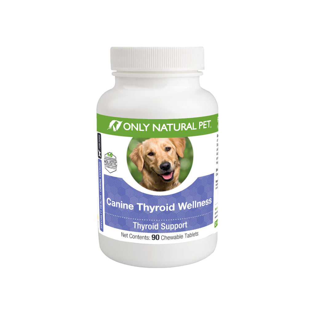 when should you give your dog thyroid medicine