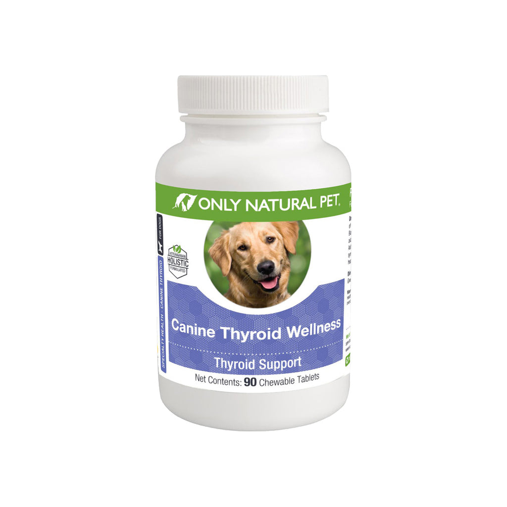 thyroid medication for dogs