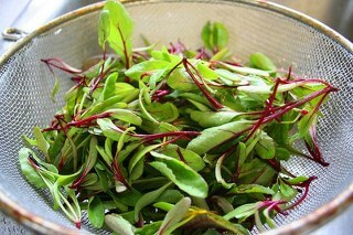 Herbs-on-a-Salad-spinner