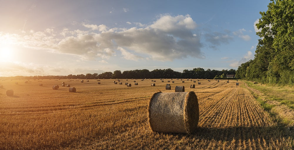 Agricultural Finance