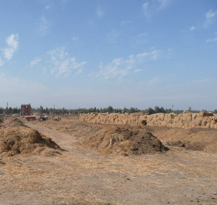 Composting Facility in Egypt