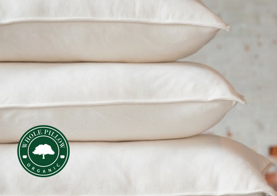 WHOLE Organic Goose Down Pillow - WHOLE 