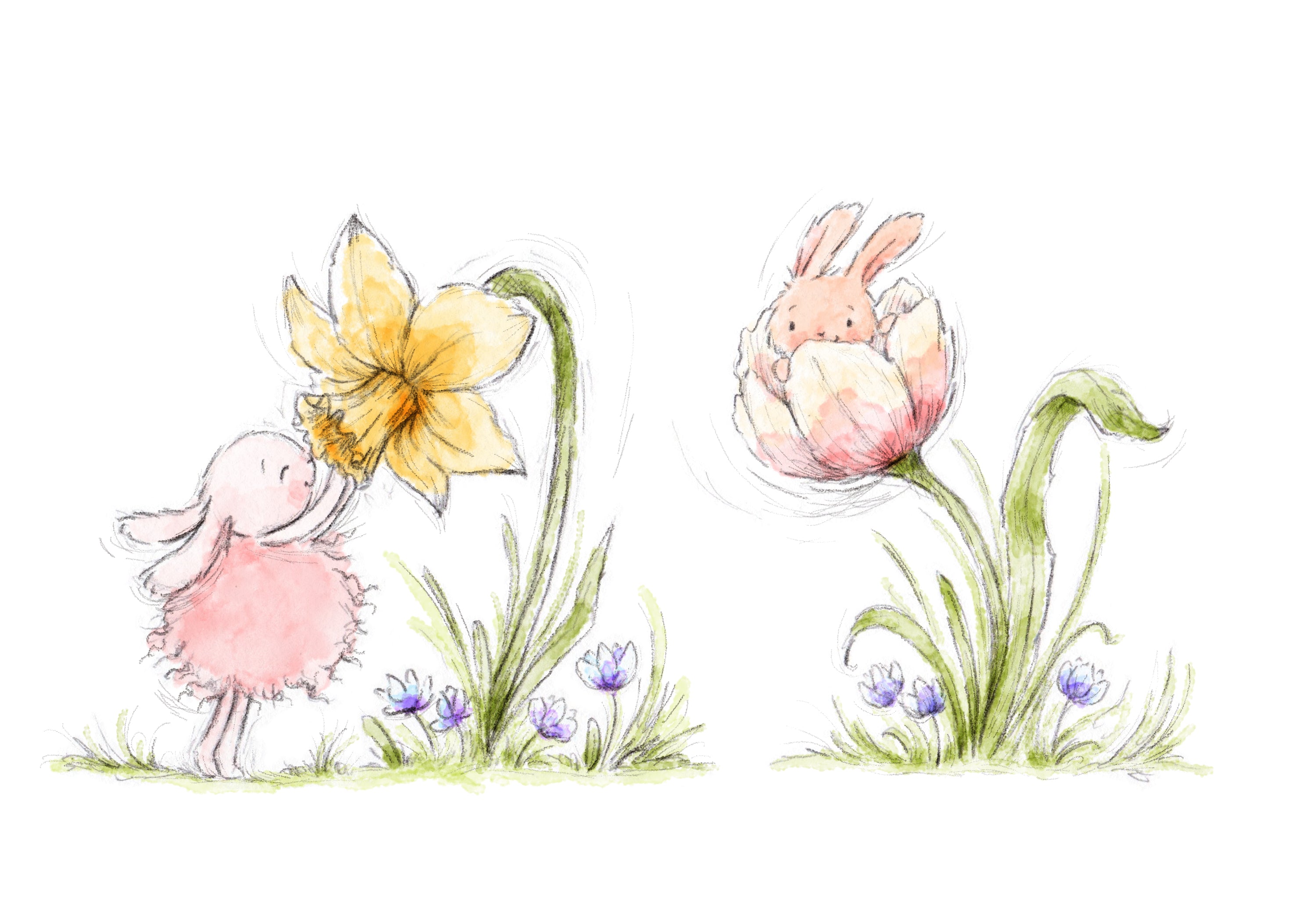 Roly Poly Bunnies and Flowers Art