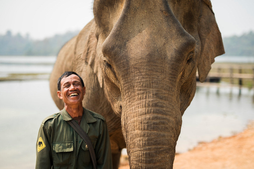 Mahout from elephant conservation center smiling next to elephant
