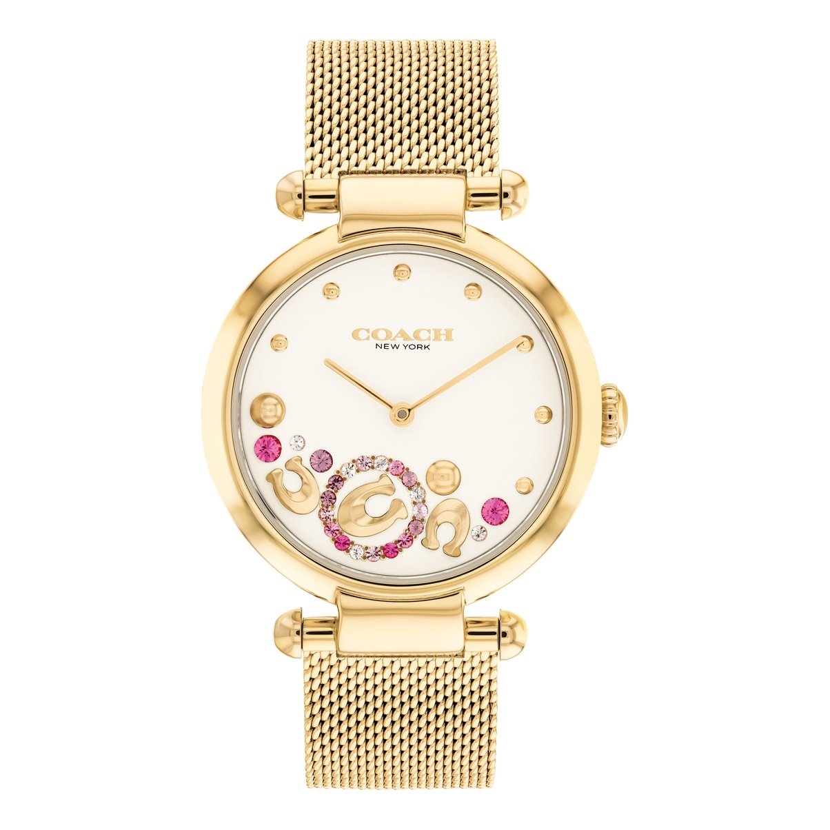 Coach Ladies Cary Watch (14504003)