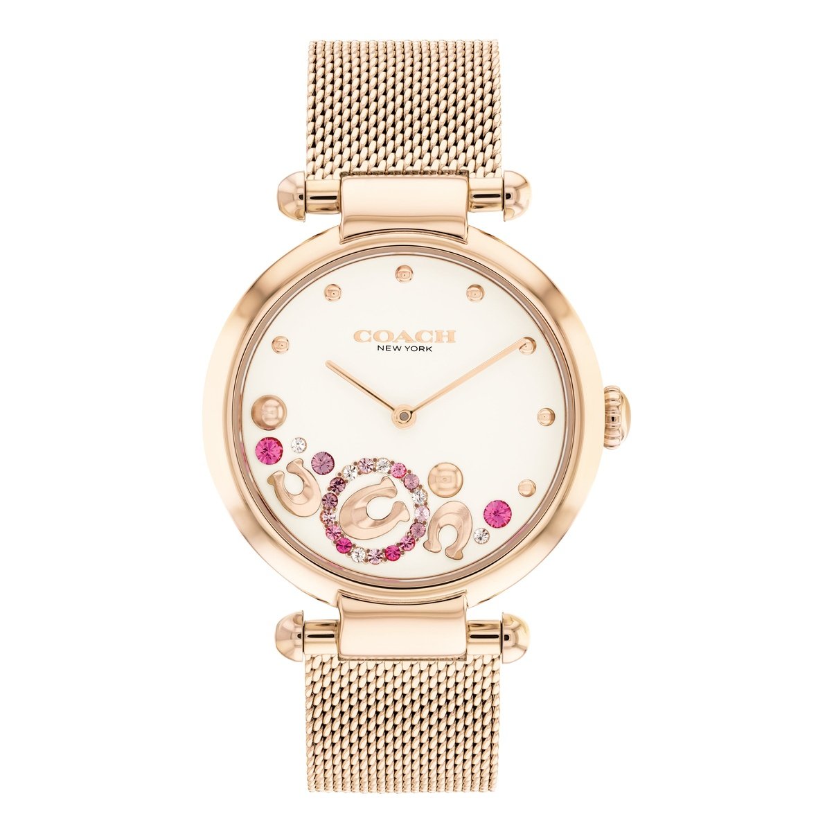 Coach Ladies Cary Watch (14504004)