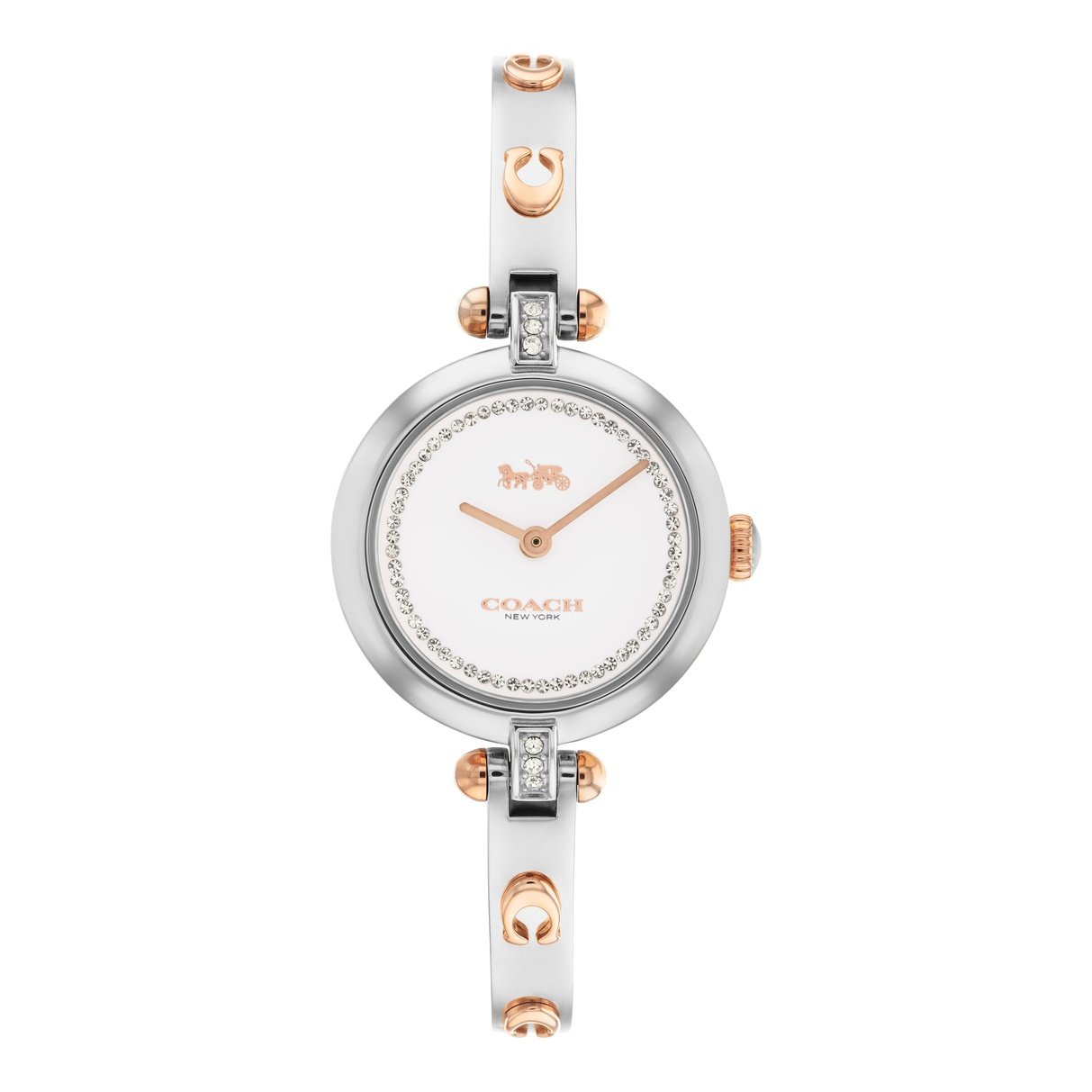Coach Ladies Cary Watch (14504084)