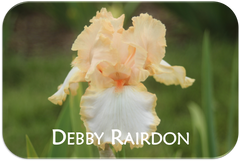 Debby Rairdon