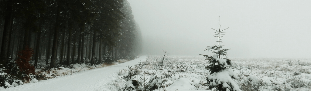 Verhalten-bei-Unterkühlung-verschneite-Landschaft-Wald-Wolfgangs