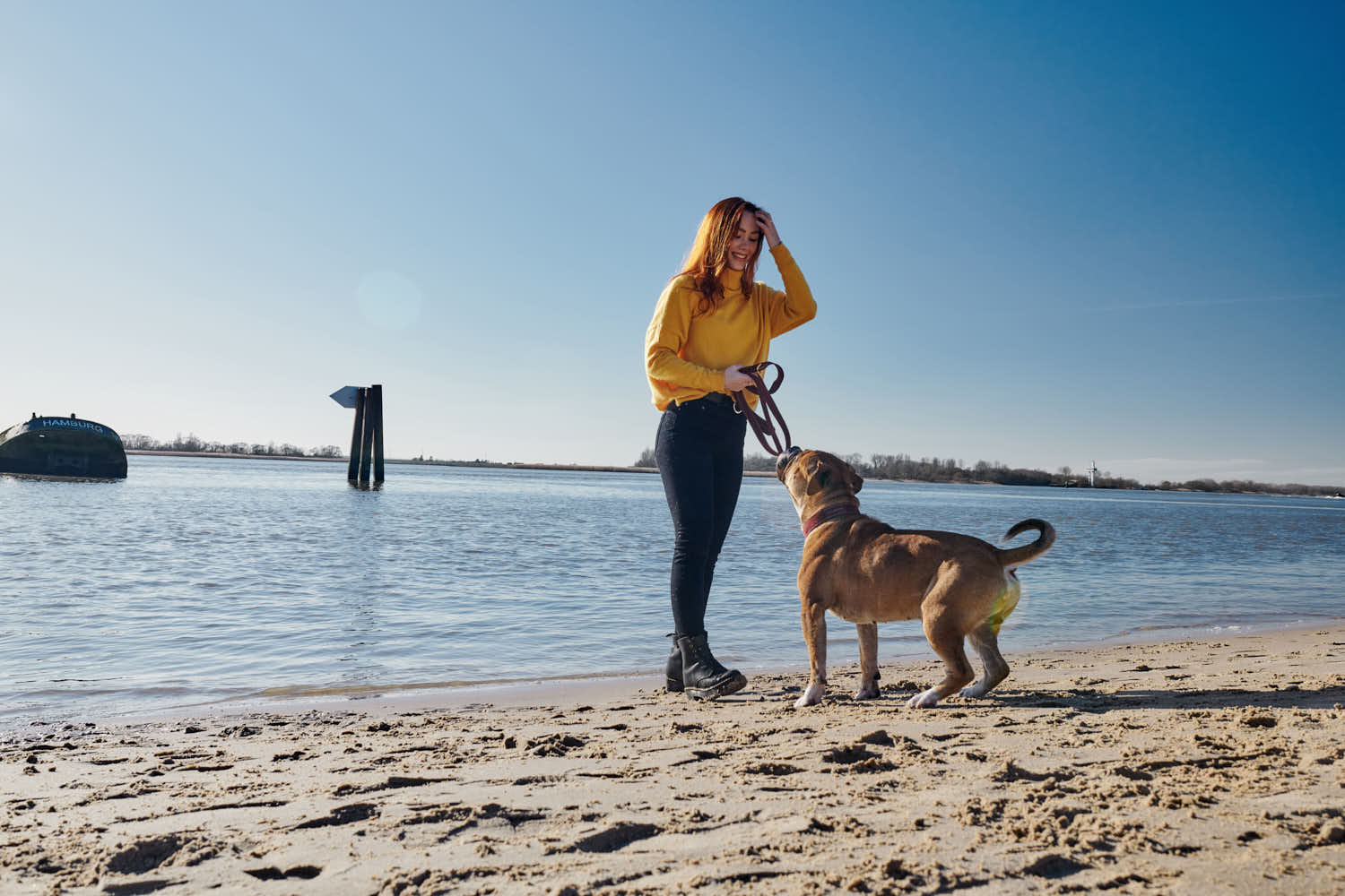 Continental Bulldog am Strand