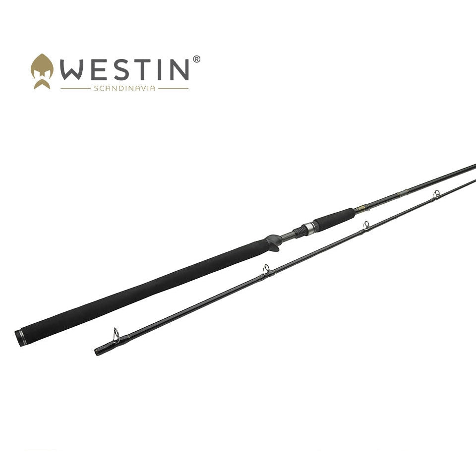Spinnrute für Hecht und Waller Westin W3 Powercast-T 251cm 3XH 60-180g 