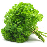 Parsley