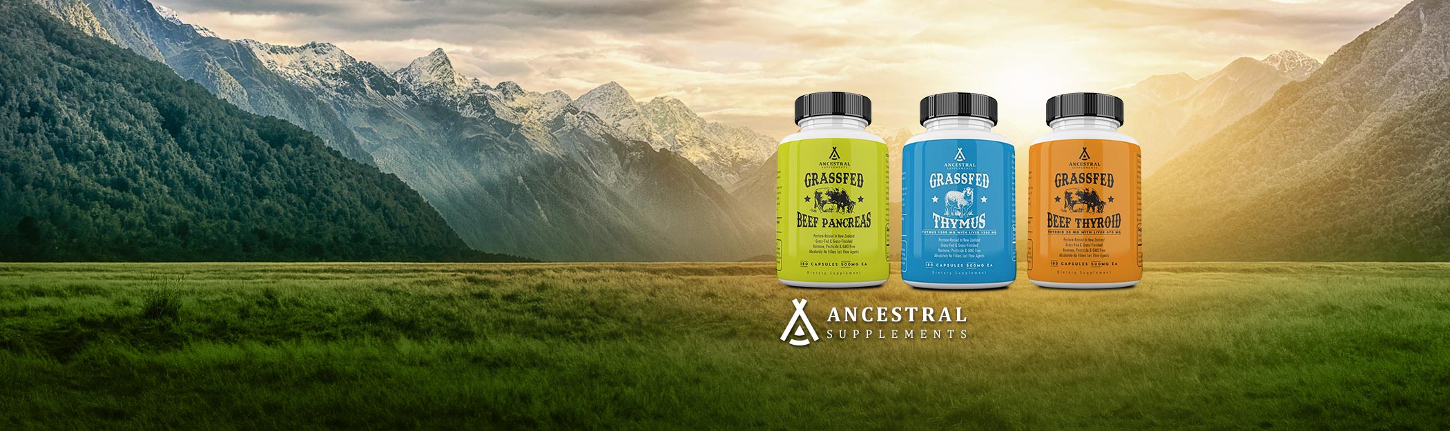 Ancestral Supplements UK - Brian Johnson's Story
