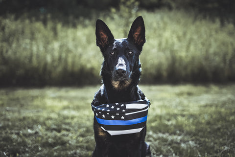 dog fanny pack treat bag