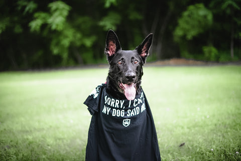 Black echo company dog photography shirt