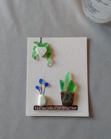 sea glass plants